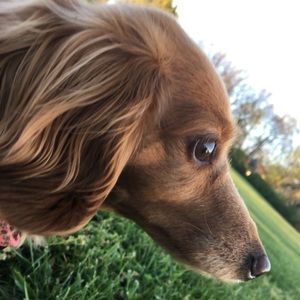 Meet your Posher, Hailey